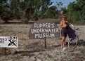Flipper's Underwater Museum picture