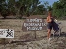 Flipper - Original | Season 2 Episode 27 | Flipper's Underwater Museum