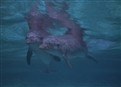 Dolphin Love - Part I picture