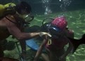Dolphin Patrol picture
