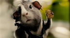Movie Trailers: G-Force