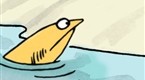 Happy Fins