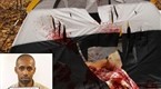 Onion News Network: DNA Evidence Frees Black Man Convicted Of Bear Attack
