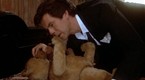 Remington Steele: Blue Blooded Steele (season 3, episode 5)