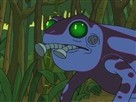Poisonous Froad