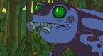 Poisonous Froad
