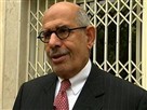 ElBaradei: Happy to Be 'Agent for Change'