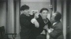 The Three Stooges Collection: Brideless Groom
