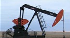 Environmental Tech: Carbon Sequestration