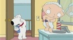 Family Guy: Caught Shaving