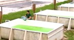 Earth Day: A Really “Green” Energy Source: Algae
