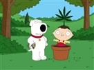 Family Guy: 420 Full Episode!<br />"420"