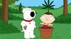 Family Guy: 420 (season 7, episode 12)