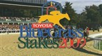 TVG: Blue Grass Stakes 2009