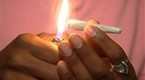 Oaksterdam Cannabis College