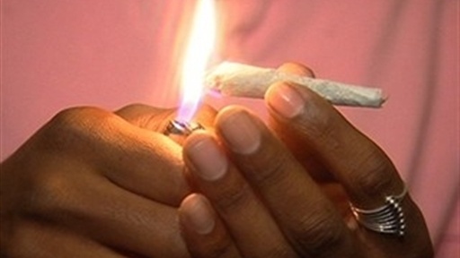 Oaksterdam Cannabis College