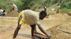 National Geographic Specials: Diamonds of War: Africa's Blood Diamond