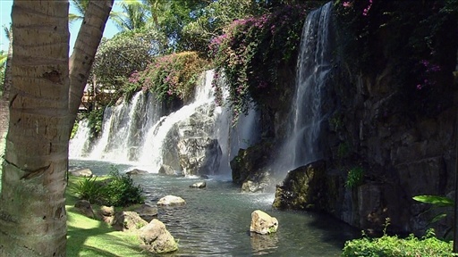 Grand Wailea Hotel & Spa