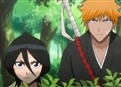 Bleach 75 picture