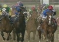 Run For The Roses: The Kentucky Derby & The Business of Horse Racing picture