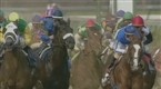CNBC Originals: Run For The Roses: The Kentucky Derby &amp; The Business of Horse Racing (season 1, episode 25)