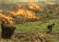 Saving Madagascar picture