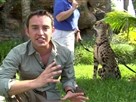 Animal Exploration with Jarod Miller | Season 1 Episode 1 | Need for Speed