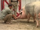 Animal Exploration with Jarod Miller | Season 1 Episode 10 | Animals in the Nose