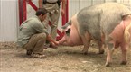 Animal Exploration with Jarod Miller: Animals in the Nose (season 1, episode 10)