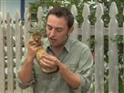 Animal Exploration with Jarod Miller | Season 1 Episode 13 | Unusual Alias, Part 2