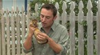 Animal Exploration with Jarod Miller: Unusual Alias, Part 2 (season 1, episode 13)