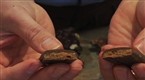 Chocolate Television: Cary's of Oregon Toffee