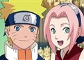 The Top 5 Ninja Battles! picture