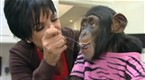 Keeping Up with The Kardashians: Monkey Business