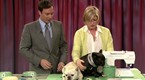Late Night with Jimmy Fallon: Martha Stewart's Frisky French Bulldogs