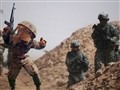Pentagon Reports Army Mascot 'Liberty' Killed in Iraq