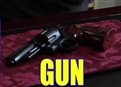 Cheater's Survival Kit: Gun picture