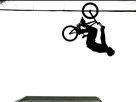 BMX Vert Preview