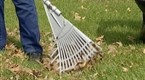 Modern Marvels: Garage Gadgets - Rake