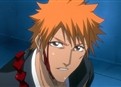 Bleach 85 picture