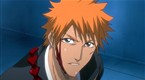 04x85 Bleach 85