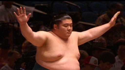 Sumo Spotlight Video