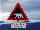 Hikers Charged by Polar Bear