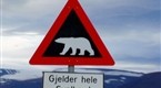 Hunter and Hunted: Hikers Charged by Polar Bear