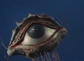 Opticon Must Be Destroyed picture