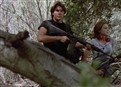 Dinoslide picture