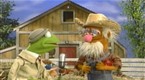 Kermit News on Old Macdonald