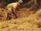 The True Cost of Gold