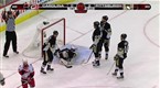 NHL: Week of May 26, 2009
