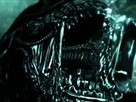 Aliens vs. Predator